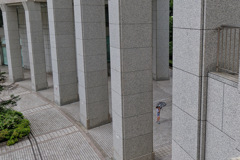 雨②