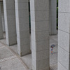 雨②