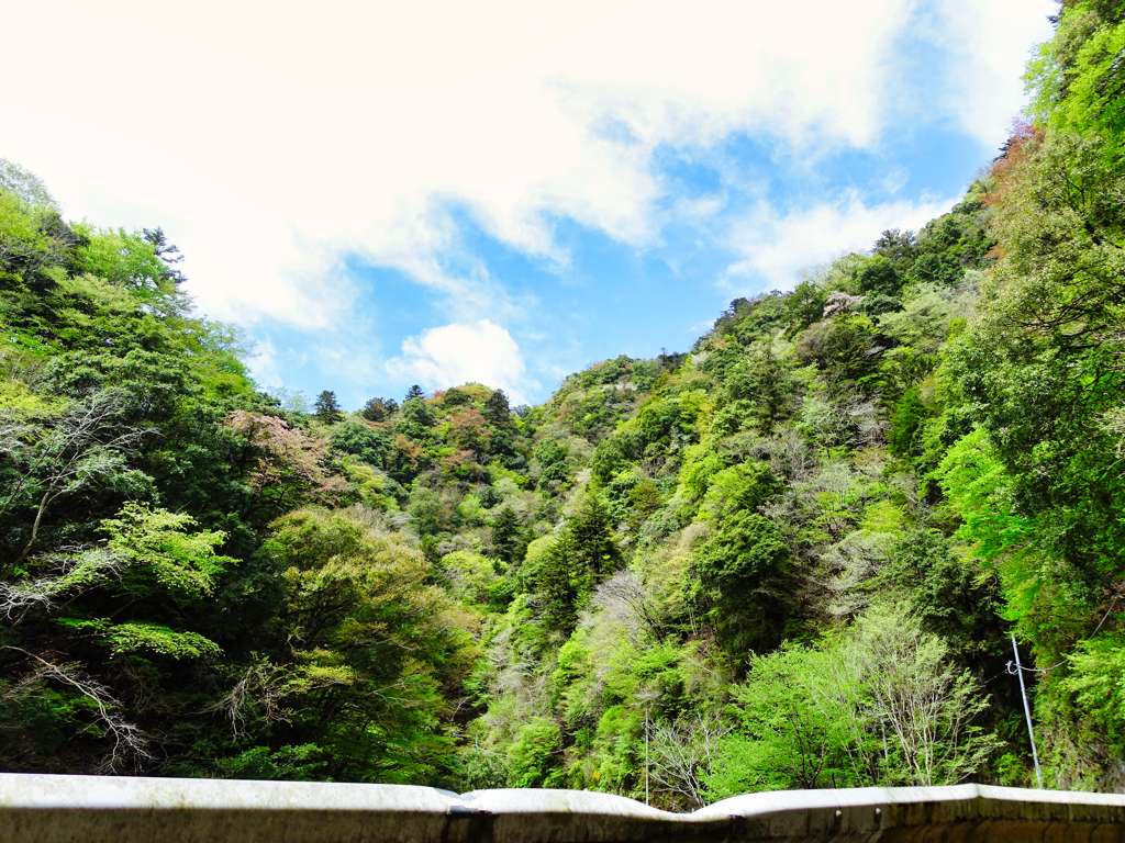 探鳥のついでに撮った風景①