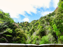 探鳥のついでに撮った風景①