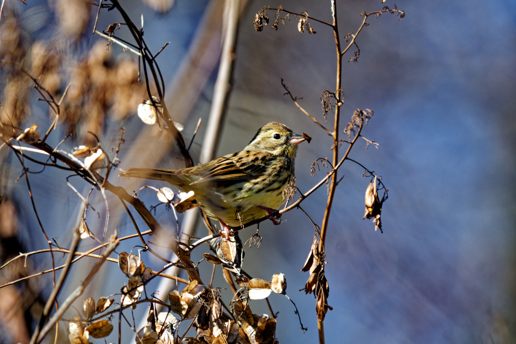 それ美味しいの？