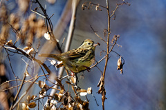 それ美味しいの？