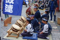 HDDは鳥だらけ⑥
