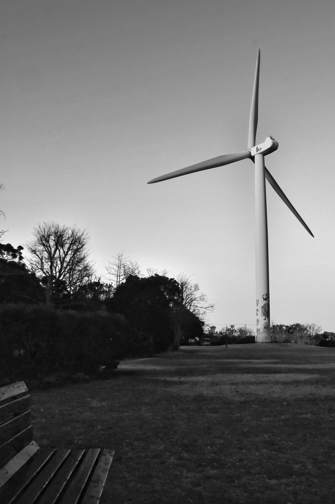 誰もいない公園