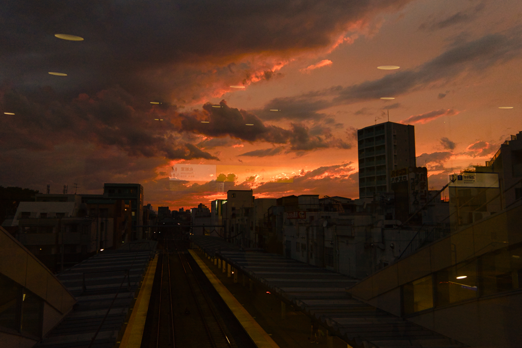 最近夕景を撮り始めたのは