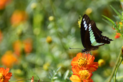 タムキューの思い出⑤