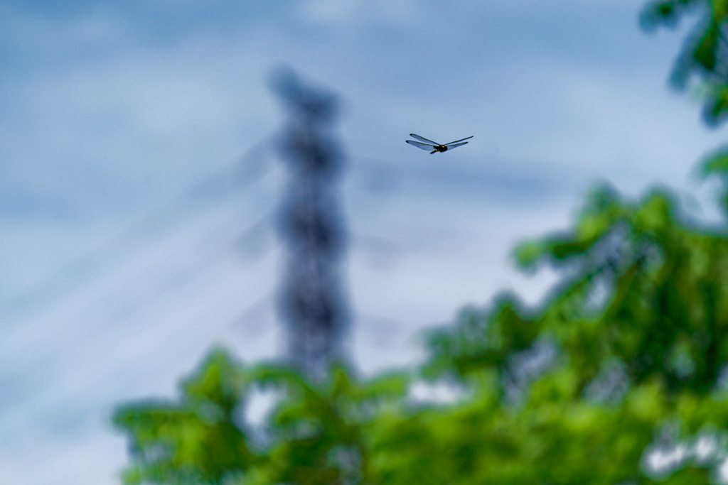 普段撮らないもの①