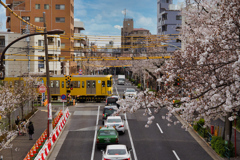 花48