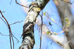 何してるの？②