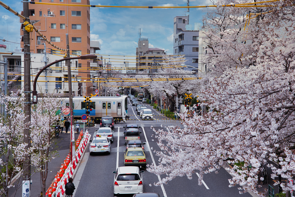 春色の街