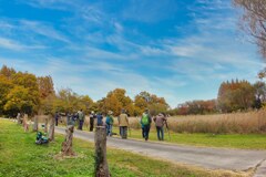 待ち人来たらず？