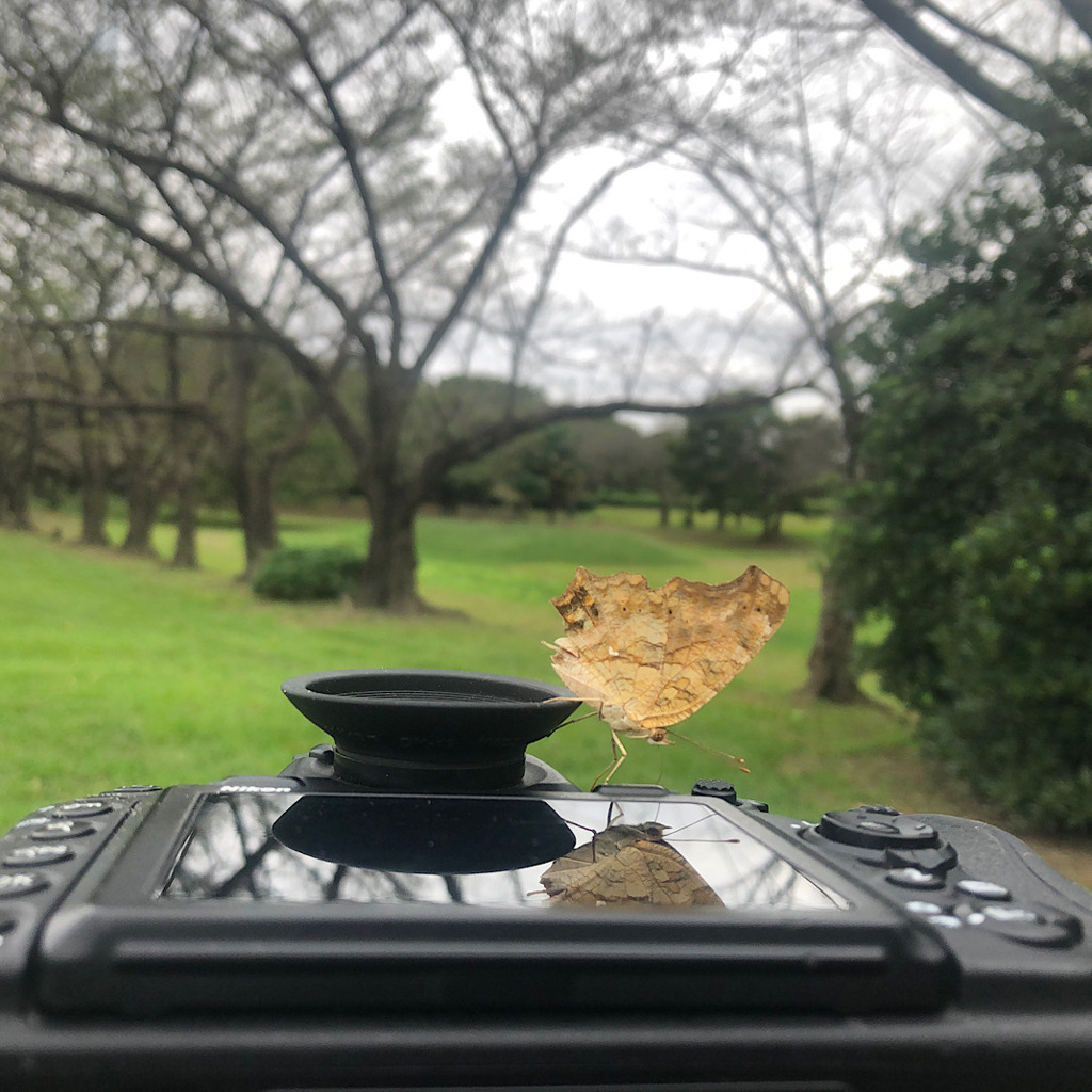 メイクアップに貸して