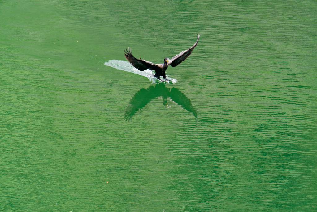 普段撮らないもの②