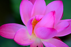 昨年の今頃は⑥