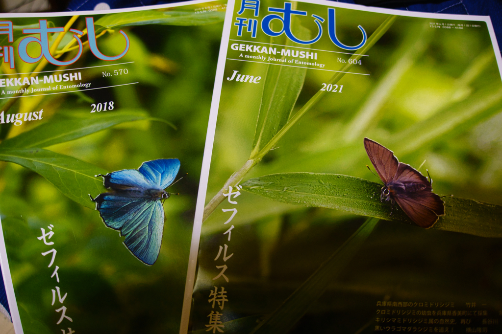 頬の筋肉が少し緩んだ