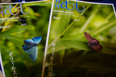 頬の筋肉が少し緩んだ