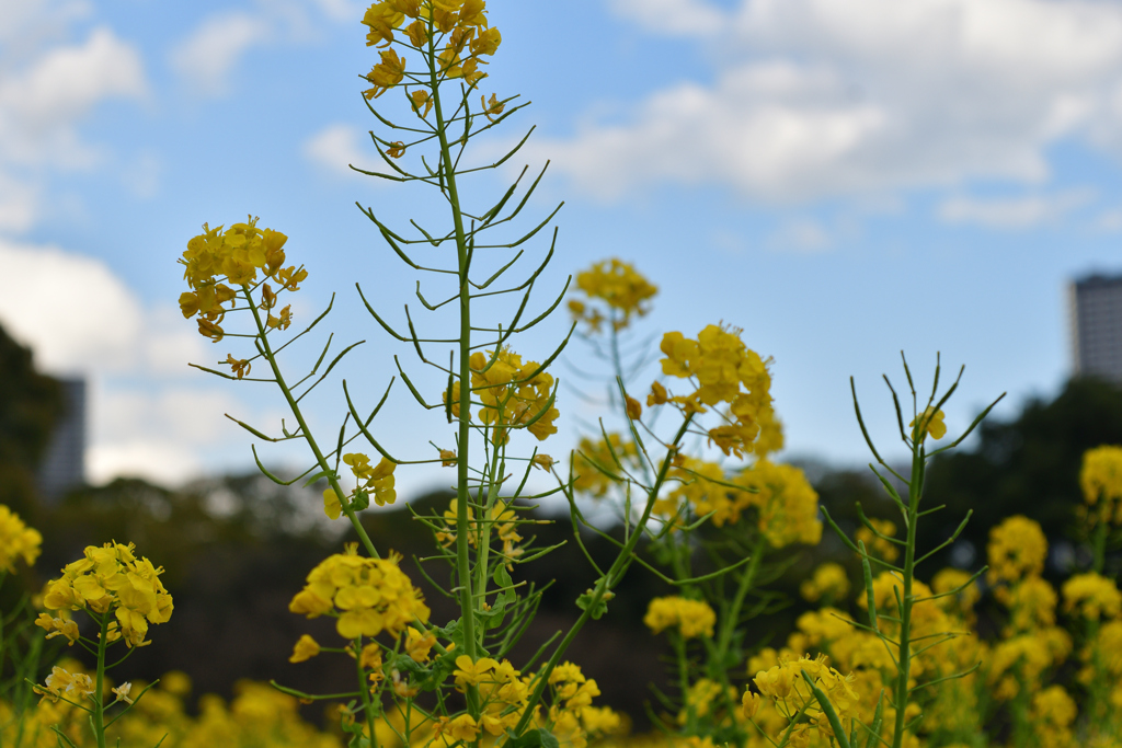 2年前の今頃は③