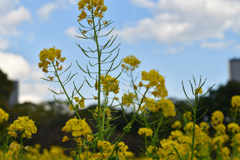2年前の今頃は③