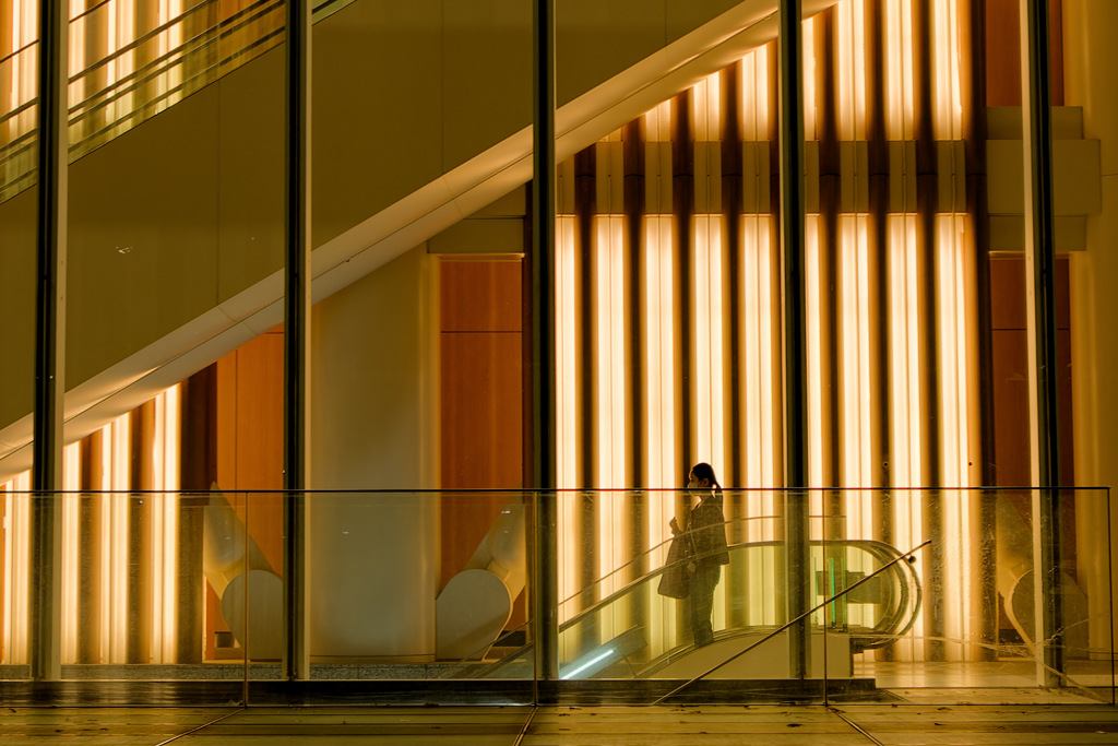 反射する夜の街528