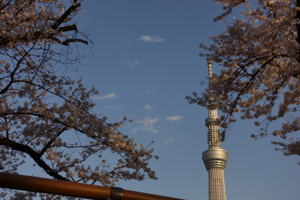 天気がいいなぁ①