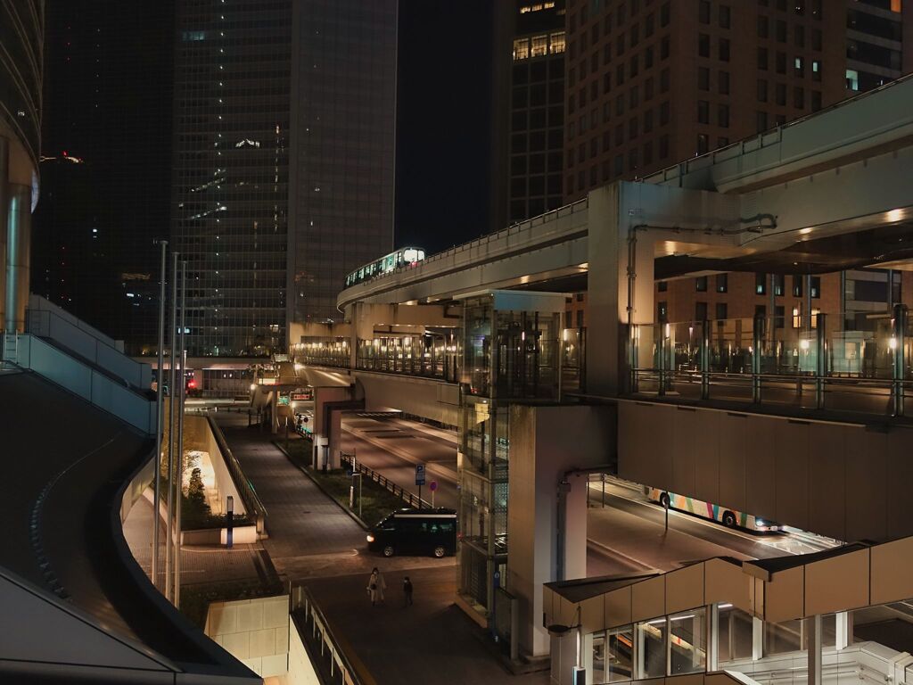 ゆりかもめを入れた一枚