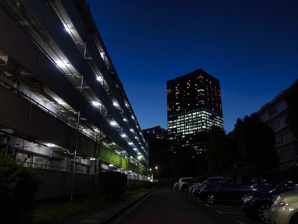 誰も撮る事のない風景