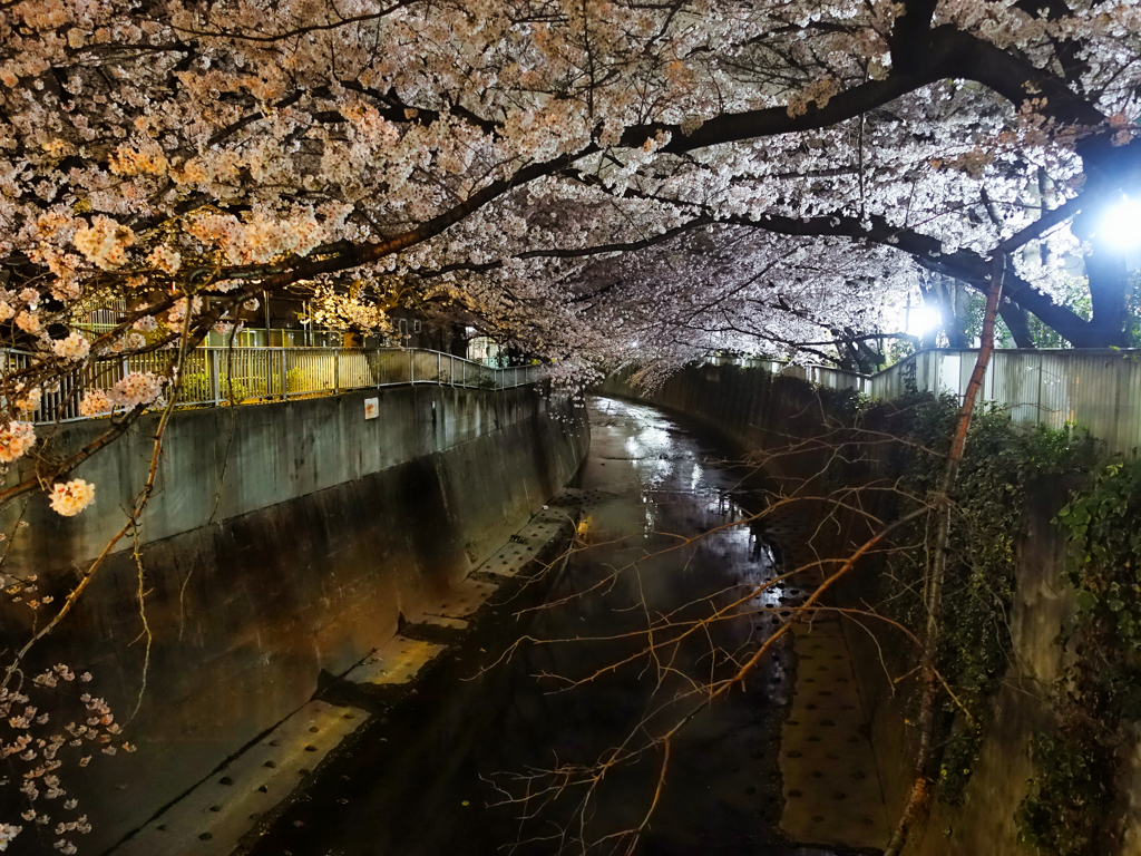 反射する夜の街104