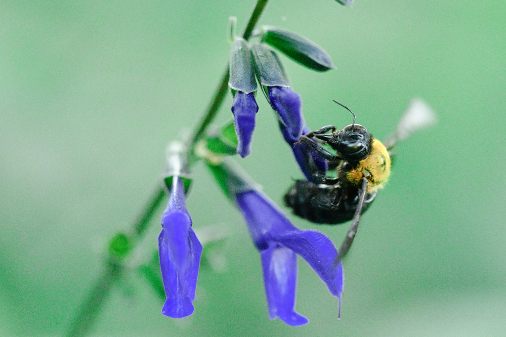 こんなに引っ張られたら