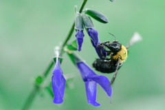 こんなに引っ張られたら