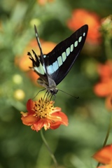 タムキューの思い出②