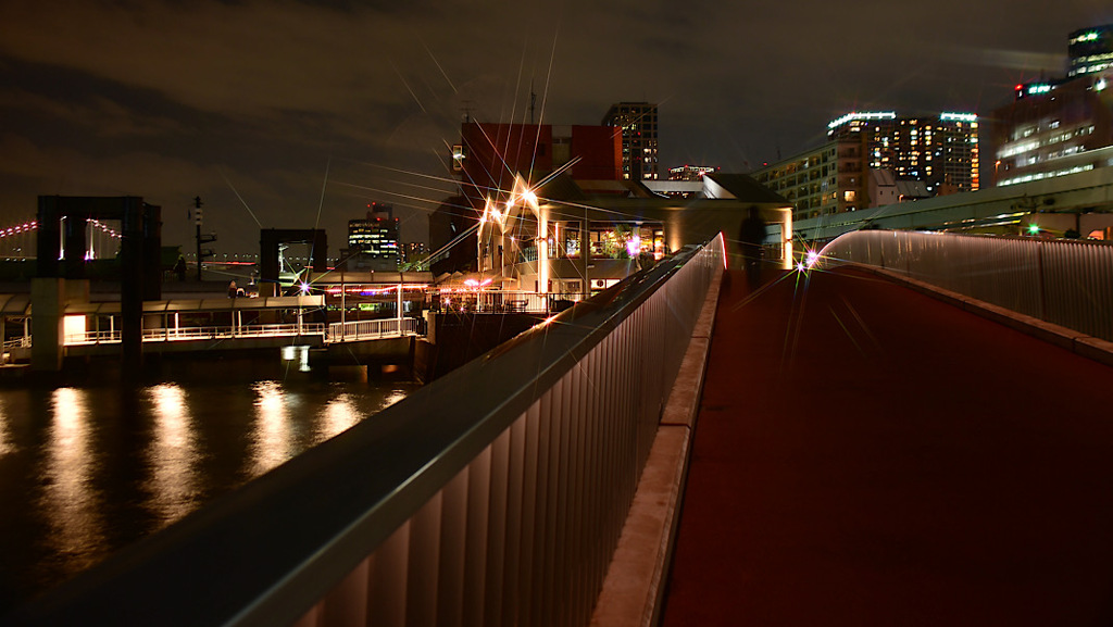 鳥の写真じゃ無いじゃん③