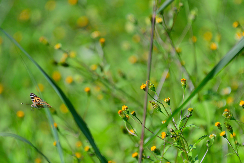 急に飛ばないで