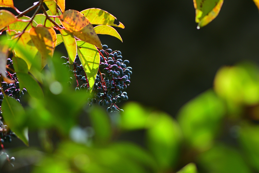 近所の公園にて②