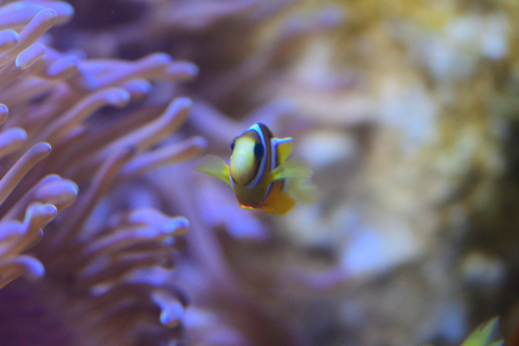 雰囲気だけの①