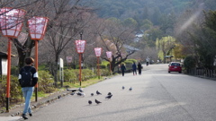 京都