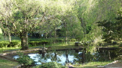 P1000881