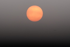 太陽