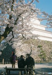 夫婦と鶴ヶ城の桜