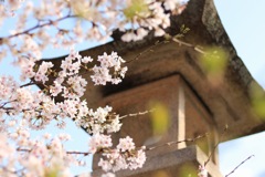 懐かしい景色
