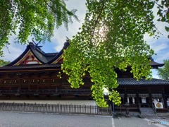 IMG20210723163416