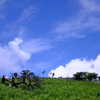 霊仙山４