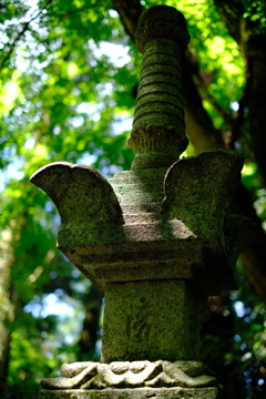 滋賀県　百済寺５