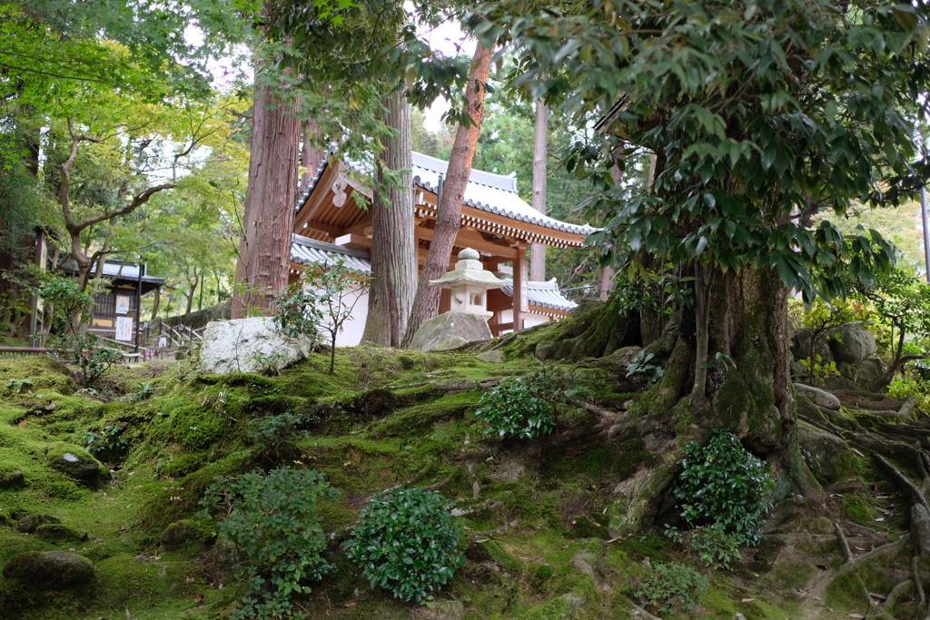 2019年11月　滋賀にて