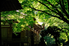 滋賀県　百済寺４