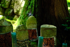 滋賀県　百済寺４