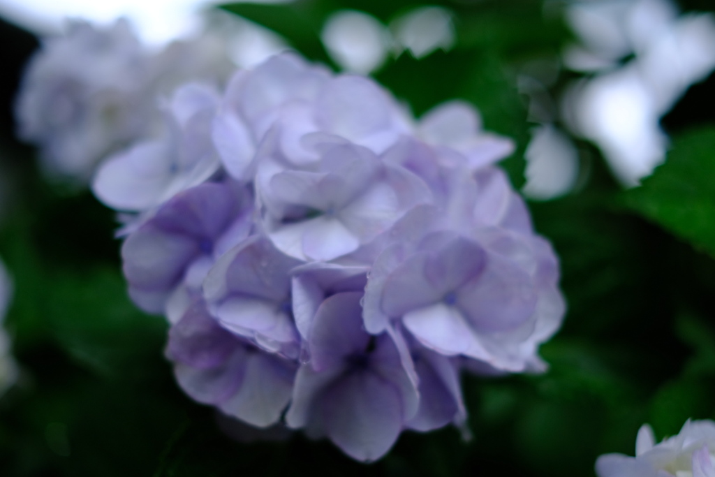 滋賀県　全長寺７