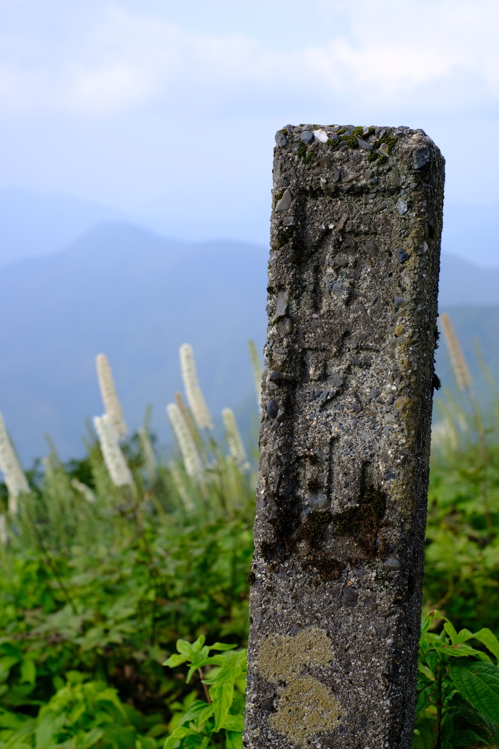 伊吹山１