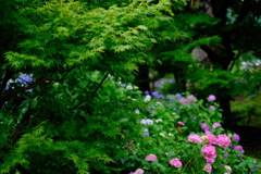 滋賀県　全長寺１０