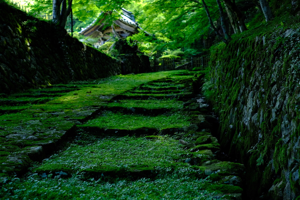 滋賀県　百済寺２