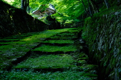 滋賀県　百済寺２